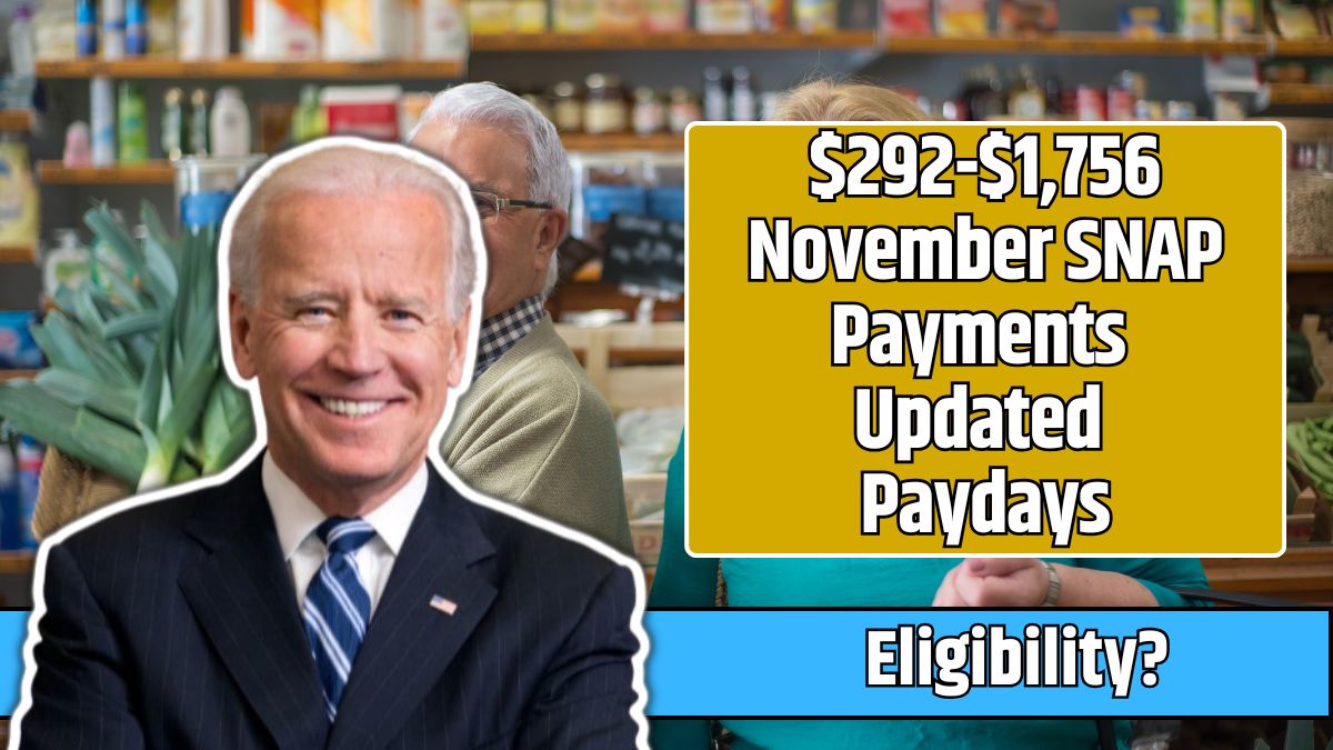 $292-$1,756 November SNAP Payments Updated Paydays