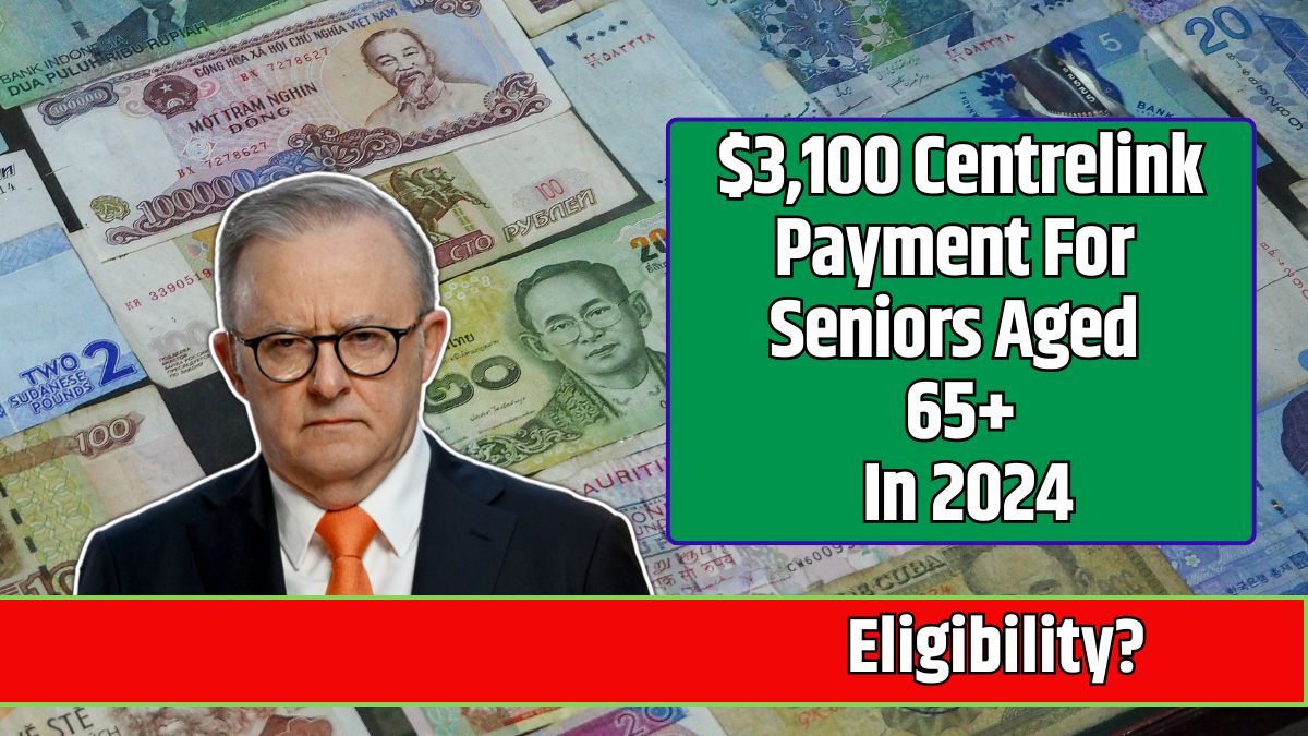 $3,100 Centrelink Payment For Seniors Aged 65+ In 2024