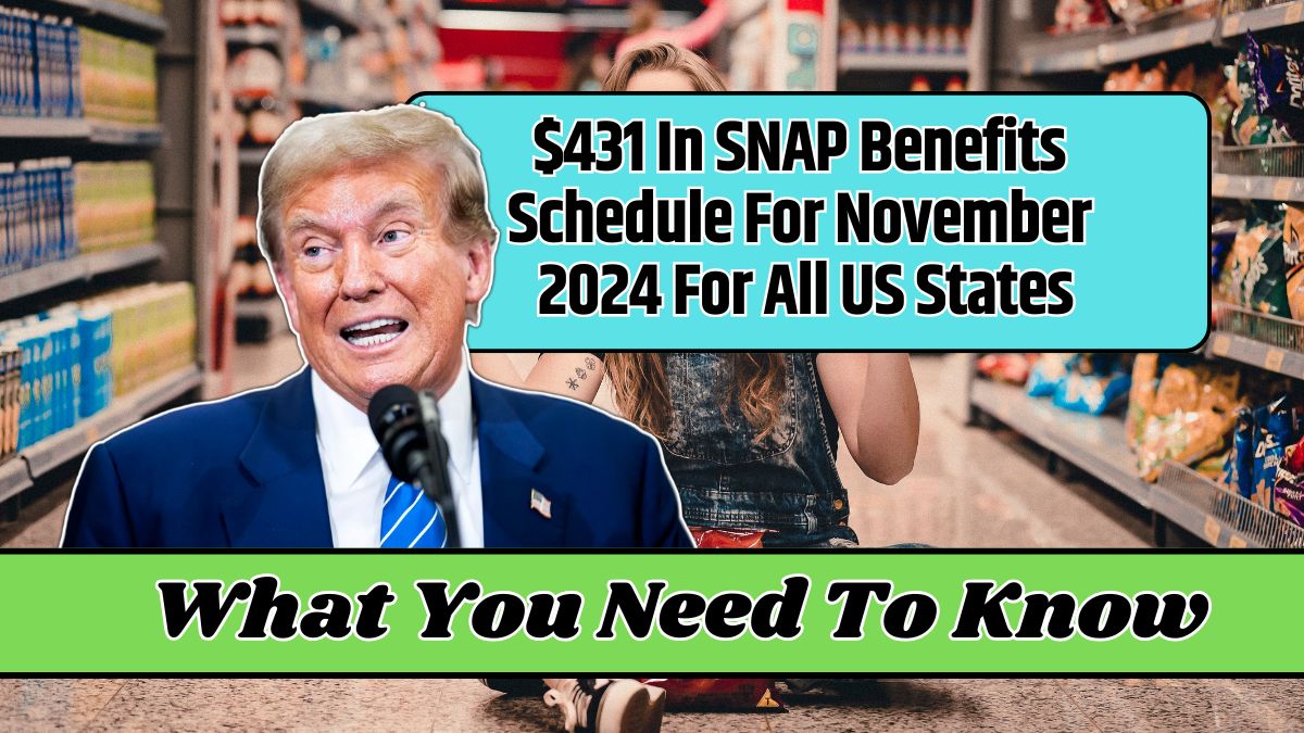 $431 In SNAP Benefits Schedule For November 2024 For All US States