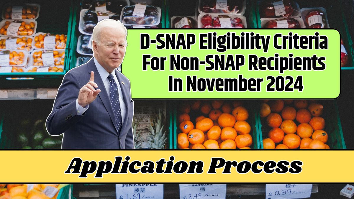 D-SNAP Eligibility Criteria For Non-SNAP Recipients In November 2024