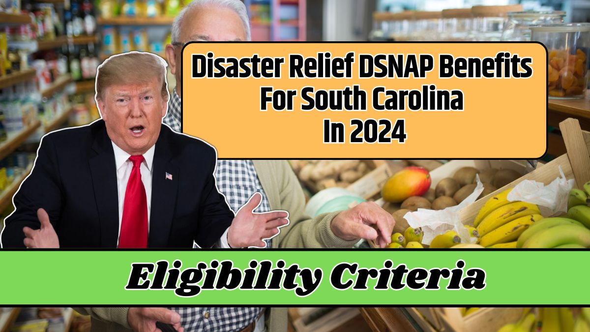 Disaster Relief DSNAP Benefits For South Carolina In 2024