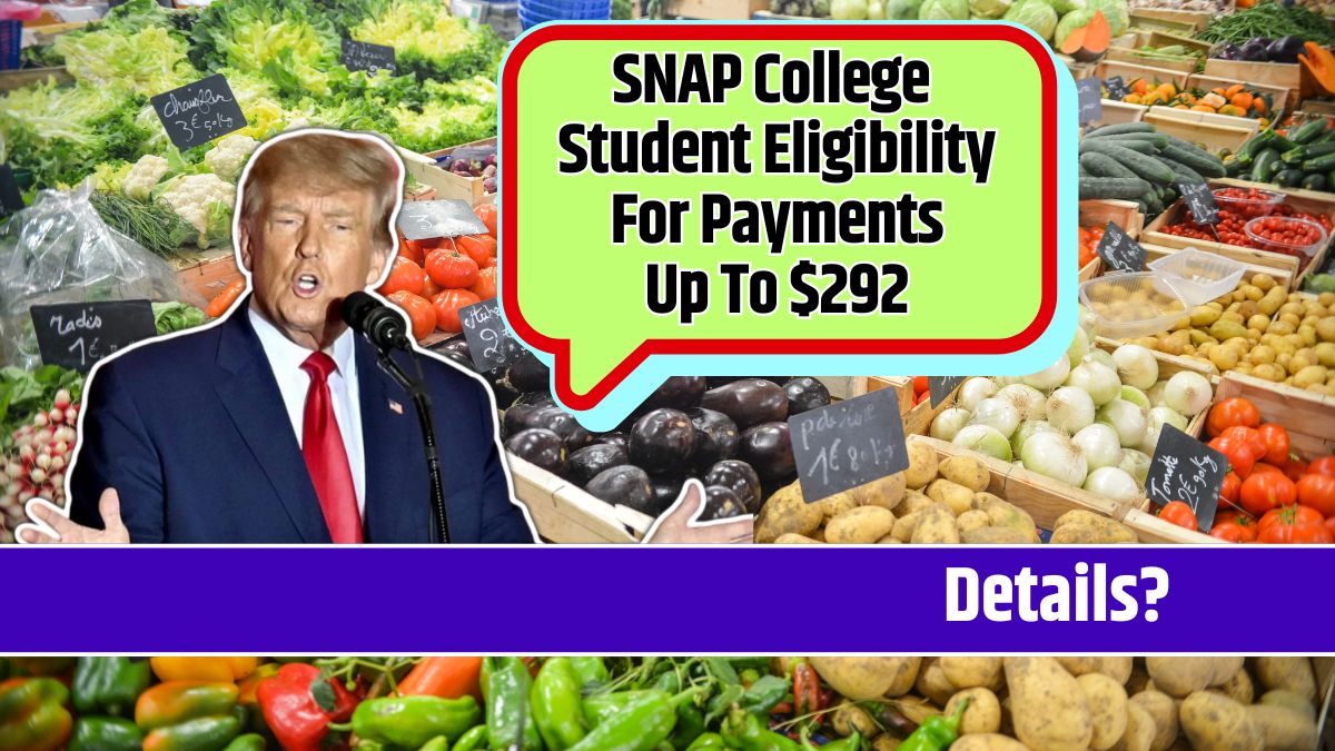 SNAP College Student Eligibility For Payments Up To $292