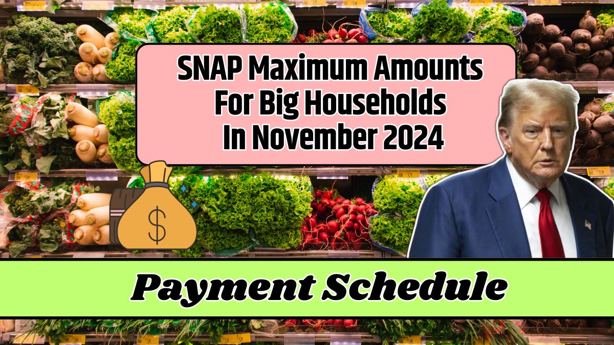 SNAP Maximum Amounts For Big Households In November 2024