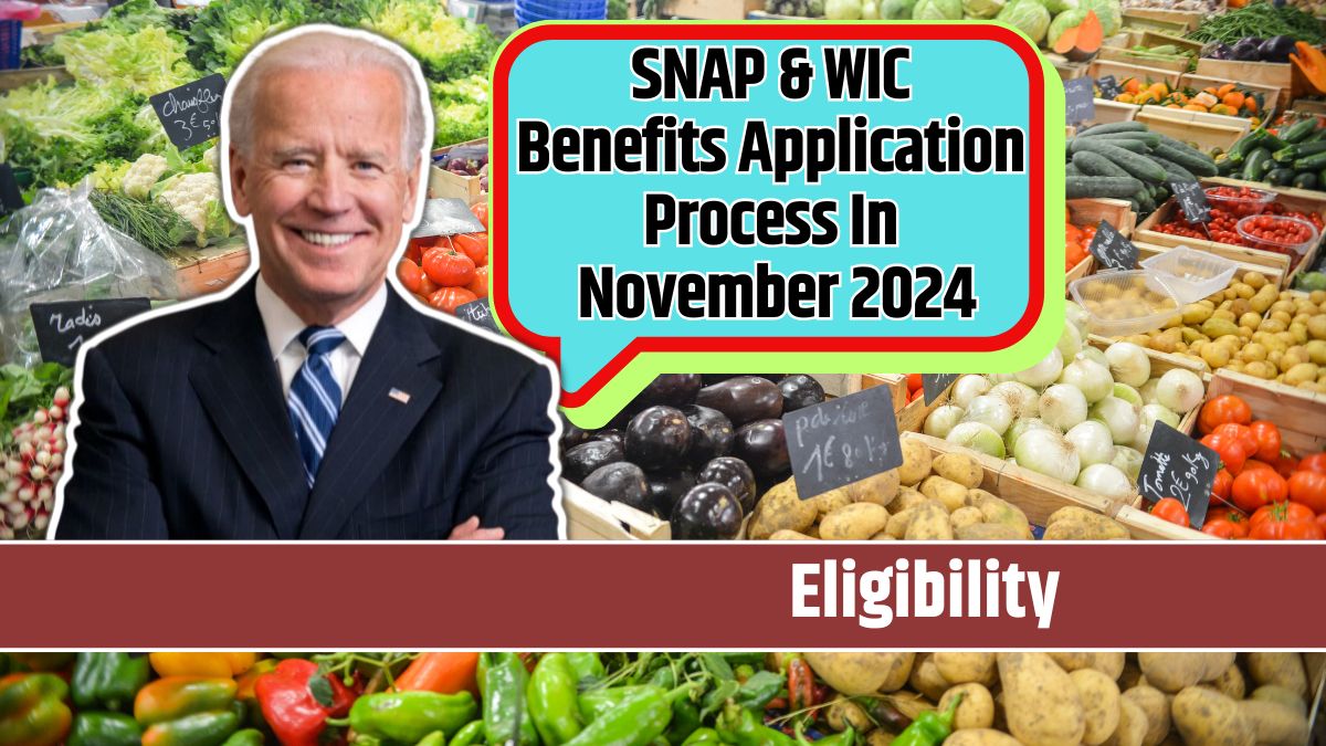 SNAP & WIC Benefits Application Process In November 2024